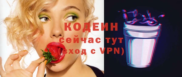 индика Слюдянка