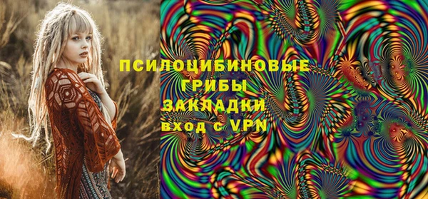 МДПВ Снежногорск