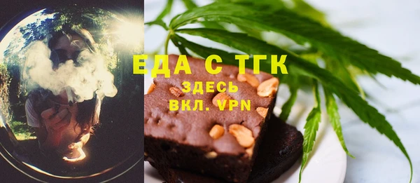 индика Слюдянка