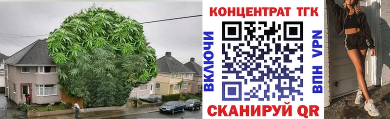 Дистиллят ТГК вейп с тгк  OMG онион  Юрьев-Польский 